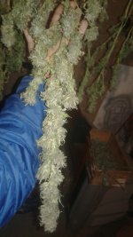 20181114_234851.jpg