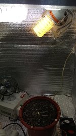 IMG_20181115_204637_505.jpg