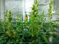 IMG_20181116_062643.jpg IMG_20181116_062643.jpg