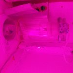 20181117_163042.jpg