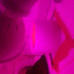 20181117_163048.jpg