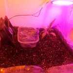 20181117_163714.jpg