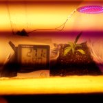 20181117_170553.jpg