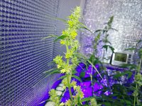 IMG_20181117_101937.jpg
