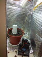 IMG_20181117_015914_336.jpg