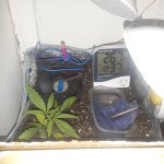 20181120_135931.jpg