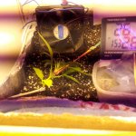20181120_144256.jpg