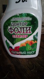 IMG_20181120_135147.jpg