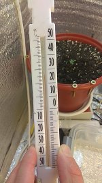 IMG_20181120_213053_068.jpg