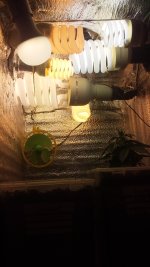 20181121_092831.jpg