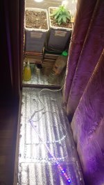 20181121_092945.jpg