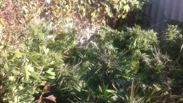20181106_132538.jpg