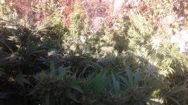 20181106_132738.jpg