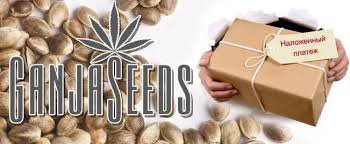 Без названия (1).jpg