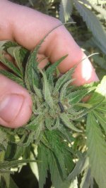 20181106_132715.jpg