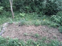 20180603_202255.jpg