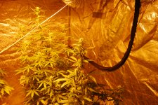 DSC_0476 - копия.JPG