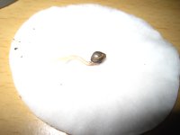 IMG_6495.JPG