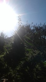 20181106_134458.jpg