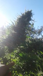 20181106_134505.jpg