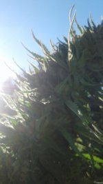 20181106_134513.jpg