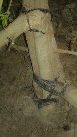 20181106_134921.jpg
