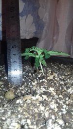 20181125_090542.jpg