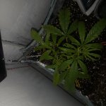 20181125_010234.jpg