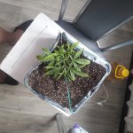 20181125_144612.jpg