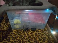 IMG_20181124_213148_HHT_новый размер.jpg