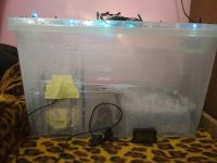 IMG_20181126_061002_новый размер.jpg
