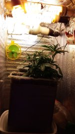 20181126_182625.jpg