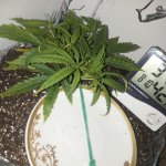 20181126_230126.jpg