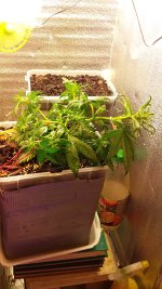 20181127_000155.jpg