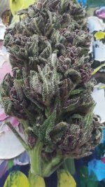 2018-11-22 13-26-20.jpg