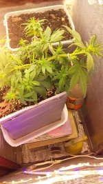 20181127_010001.jpg