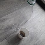 20181127_115806.jpg