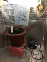 IMG_20181127_183222_488.jpg