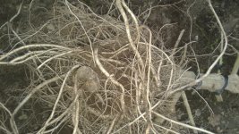 20181108_162043.jpg