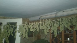 20181117_033837.jpg