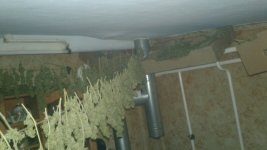 20181117_033938.jpg