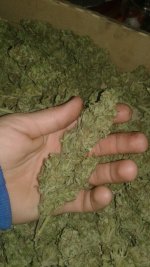 20181118_235415.jpg