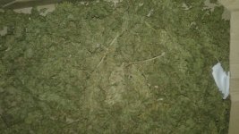 20181118_235505.jpg