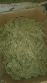 20181119_004120.jpg
