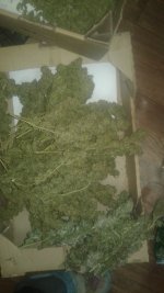 20181119_004128.jpg