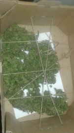 20181119_004233.jpg