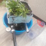 20181129_143052.jpg