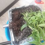 20181129_143413.jpg