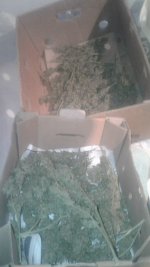 20181130_004621.jpg