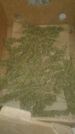20181130_004717.jpg